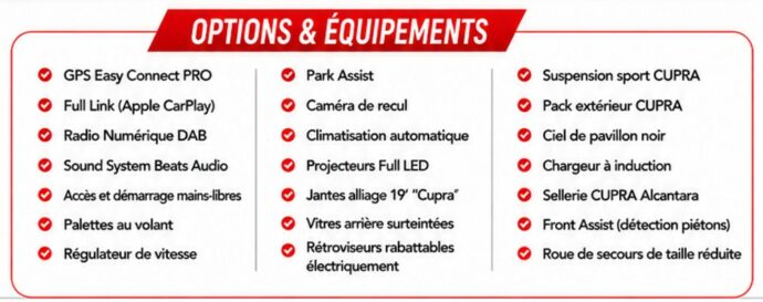 Options & Équipements — Cupra Ateca 2.0 TSI 300ch 4Drive DSG7, Crossover