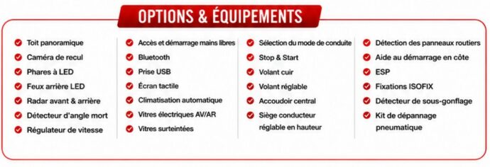 Options & Équipements — Peugeot 208 1.2 PureTech 130ch S&S GT EAT8